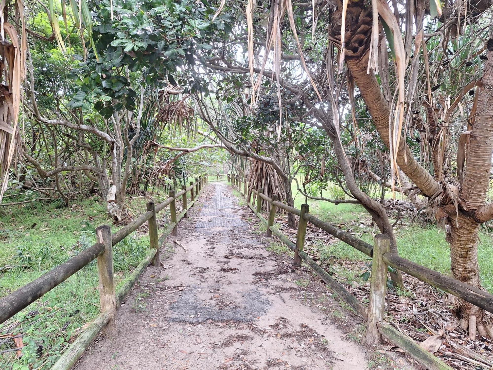 Nature 3*